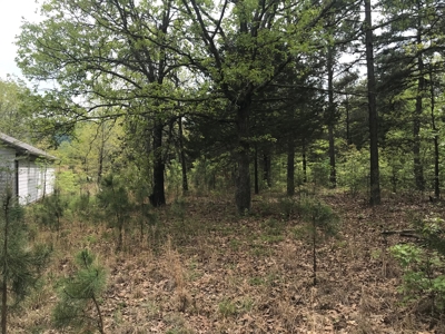 Beautiful acreage with Shop in Mountain View AR - image 28