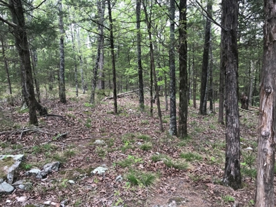 Beautiful acreage with Shop in Mountain View AR - image 26