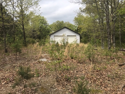 Beautiful acreage with Shop in Mountain View AR - image 31