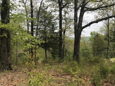 Beautiful acreage with Shop in Mountain View AR - image 10