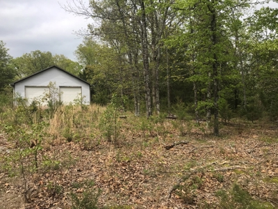 Beautiful acreage with Shop in Mountain View AR - image 33