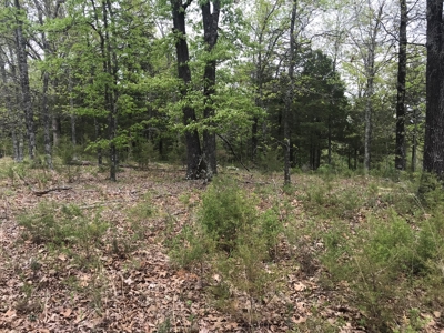 Beautiful acreage with Shop in Mountain View AR - image 9