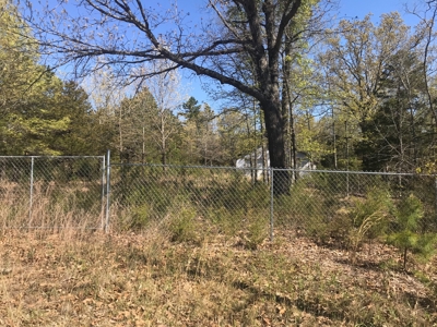 Beautiful acreage with Shop in Mountain View AR - image 3