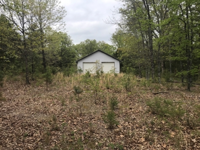 Beautiful acreage with Shop in Mountain View AR - image 8