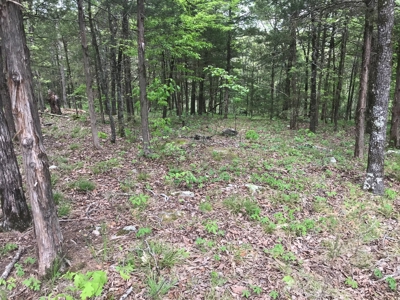 Beautiful acreage with Shop in Mountain View AR - image 25