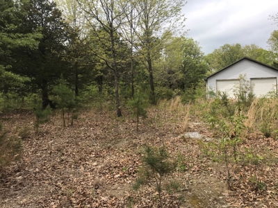 Beautiful acreage with Shop in Mountain View AR - image 32