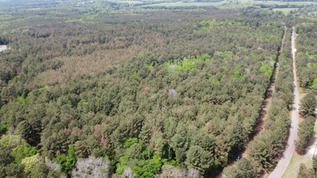 Troup TX Hunting & Timber Land for Sale Smith County - image 9