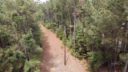 Troup TX Hunting & Timber Land for Sale Smith County - image 5