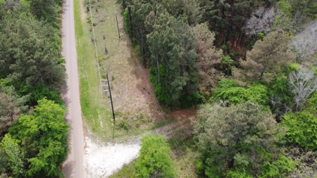 Troup TX Hunting & Timber Land for Sale Smith County - image 8