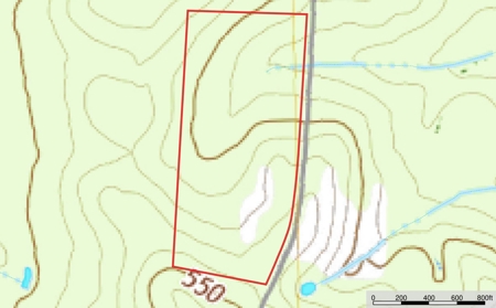 Troup TX Hunting & Timber Land for Sale Smith County - image 4