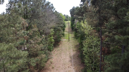 Troup TX Hunting & Timber Land for Sale Smith County - image 6
