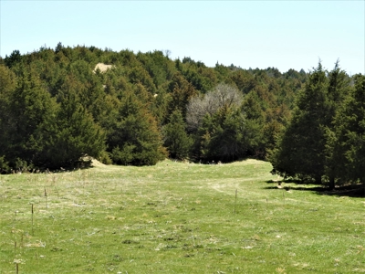 Maxwell Nebraska Timbered Hunting Ranch For Sale - image 11