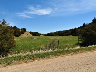 Maxwell Nebraska Timbered Hunting Ranch For Sale - image 13