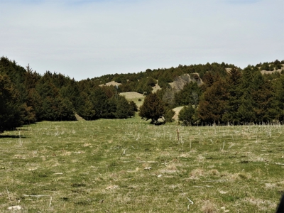 Maxwell Nebraska Timbered Hunting Ranch For Sale - image 6