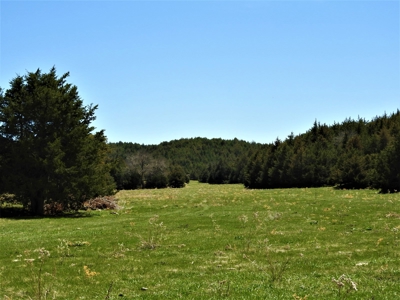 Maxwell Nebraska Timbered Hunting Ranch For Sale - image 16