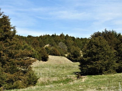 Maxwell Nebraska Timbered Hunting Ranch For Sale - image 7