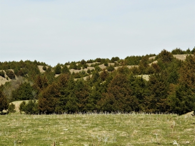 Maxwell Nebraska Timbered Hunting Ranch For Sale - image 5