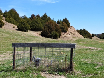 Maxwell Nebraska Timbered Hunting Ranch For Sale - image 14