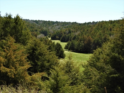 Maxwell Nebraska Timbered Hunting Ranch For Sale - image 1