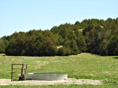 Maxwell Nebraska Timbered Hunting Ranch For Sale - image 15