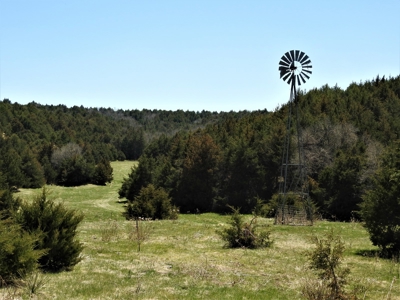 Maxwell Nebraska Timbered Hunting Ranch For Sale - image 9