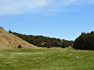 Maxwell Nebraska Timbered Hunting Ranch For Sale - image 4