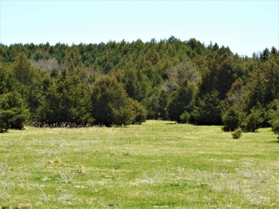 Maxwell Nebraska Timbered Hunting Ranch For Sale - image 12