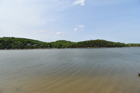 Water Front RV Lot on the Tennessee River Near Clifton TN - image 6