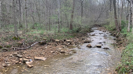 230 Acres Adjoining Pike State Forest - image 4