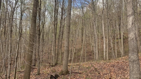 230 Acres Adjoining Pike State Forest - image 17