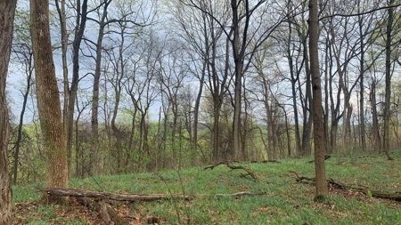 230 Acres Adjoining Pike State Forest - image 10