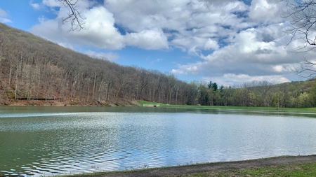230 Acres Adjoining Pike State Forest - image 38