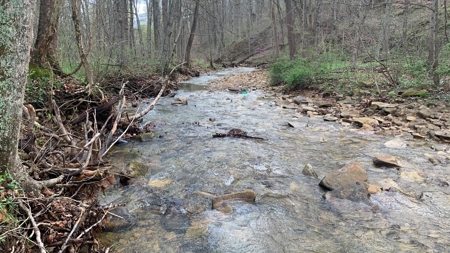 230 Acres Adjoining Pike State Forest - image 5