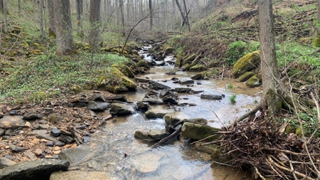 230 Acres Adjoining Pike State Forest - image 3