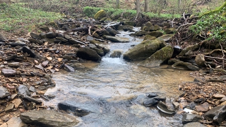 230 Acres Adjoining Pike State Forest - image 8
