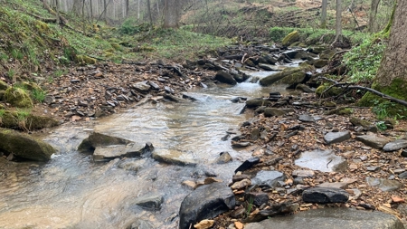 230 Acres Adjoining Pike State Forest - image 2