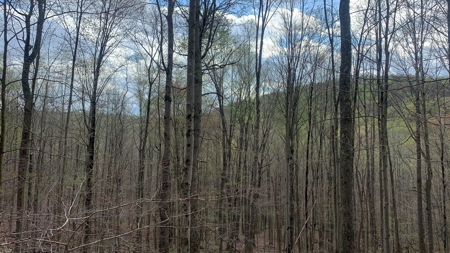 230 Acres Adjoining Pike State Forest - image 18