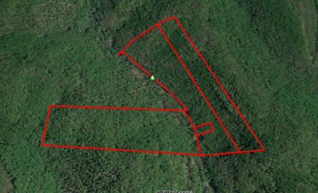 230 Acres Adjoining Pike State Forest - image 50