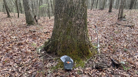 230 Acres Adjoining Pike State Forest - image 24
