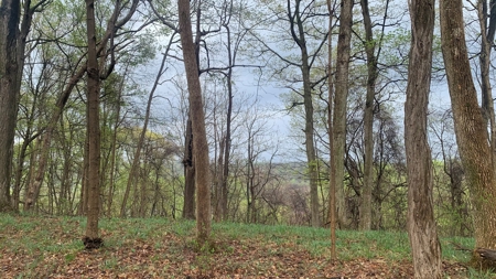 230 Acres Adjoining Pike State Forest - image 9