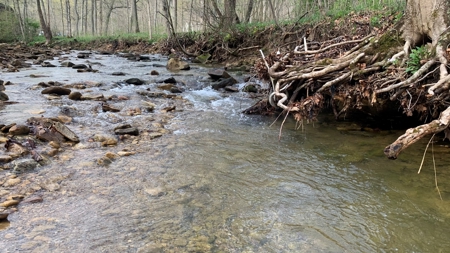 230 Acres Adjoining Pike State Forest - image 7