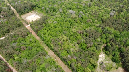East TX Timber Land for Sale Smith County Hunt & Recreation - image 7