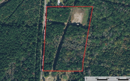 East TX Timber Land for Sale Smith County Hunt & Recreation - image 2