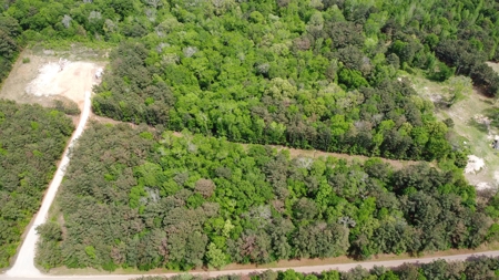 East TX Timber Land for Sale Smith County Hunt & Recreation - image 9
