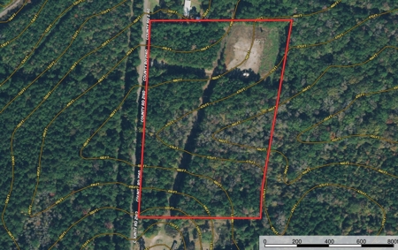 East TX Timber Land for Sale Smith County Hunt & Recreation - image 1