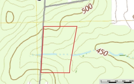 East TX Timber Land for Sale Smith County Hunt & Recreation - image 5