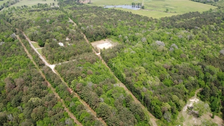 East TX Timber Land for Sale Smith County Hunt & Recreation - image 6