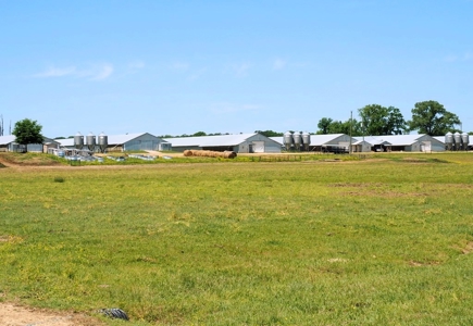 12 House Poultry Farm For Sale Central MS - image 32