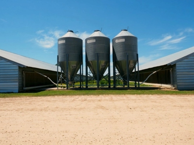 12 House Poultry Farm For Sale Central MS - image 33