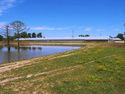 12 House Poultry Farm For Sale Central MS - image 13